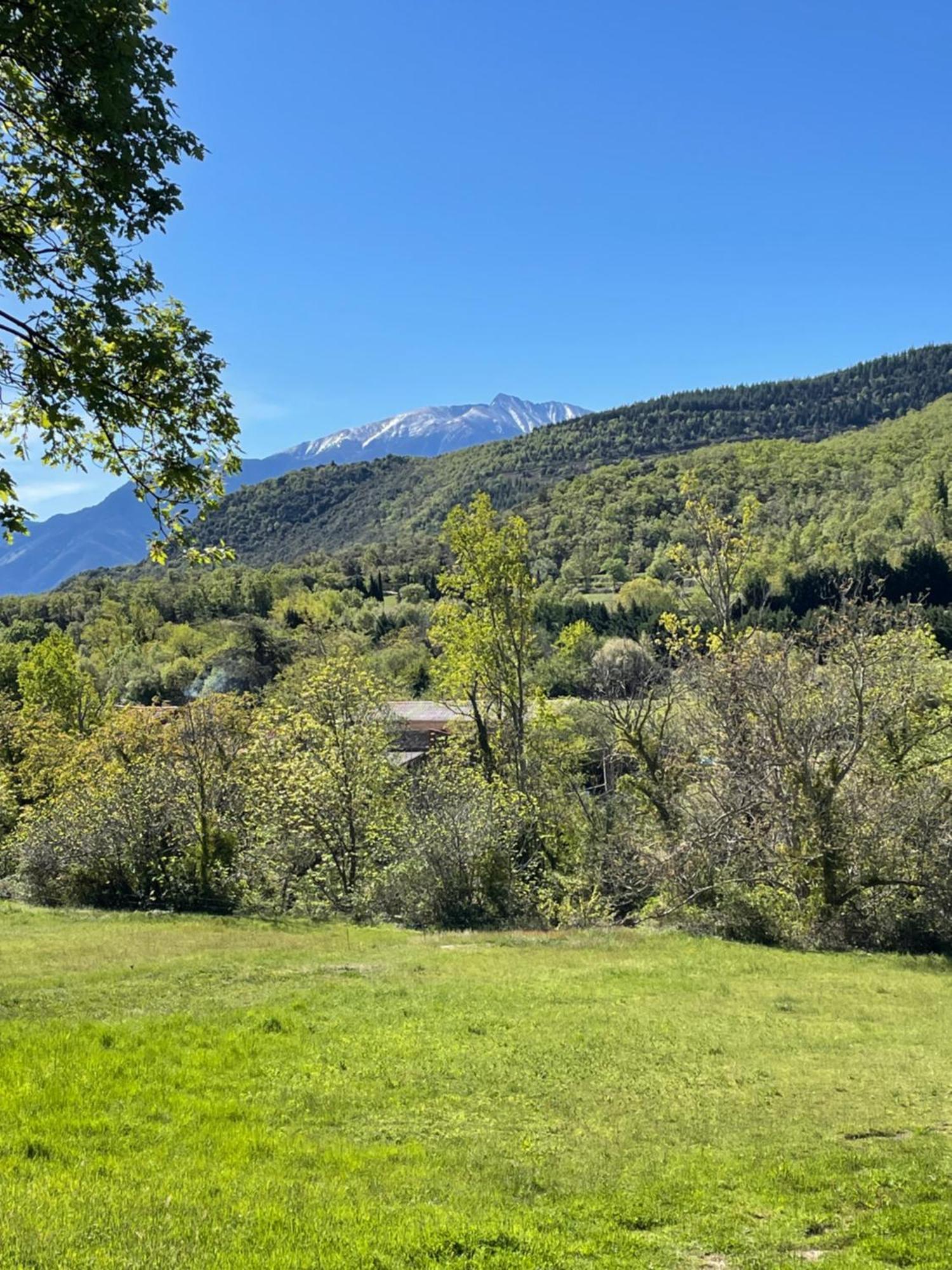 Villa Domaine St Georges Mosset Esterno foto