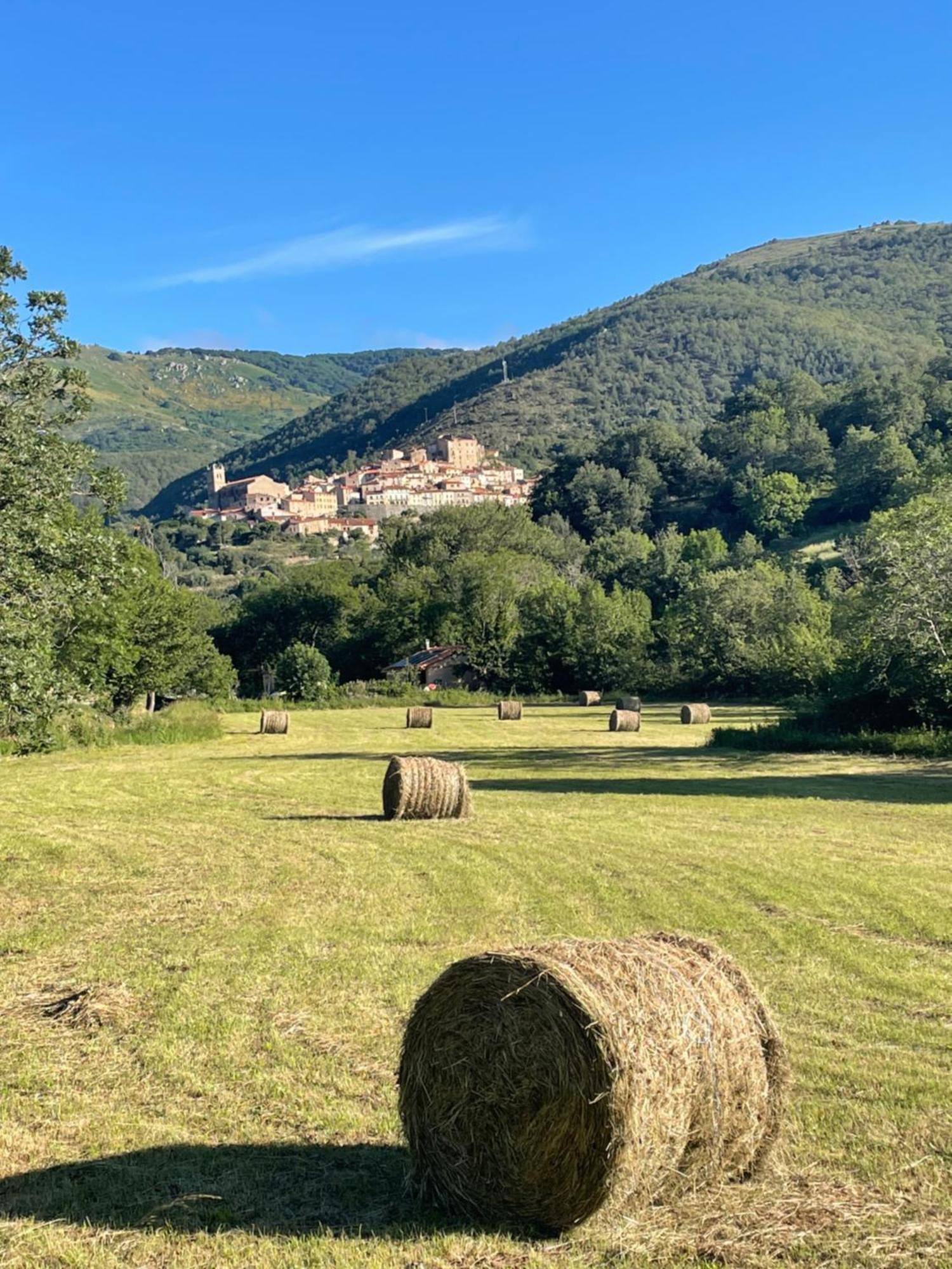 Villa Domaine St Georges Mosset Esterno foto